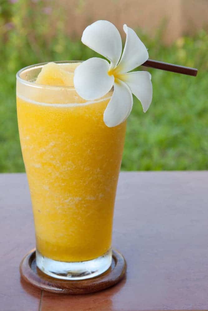 Orange Dream Creamsicle Smoothie | Blender Recipes